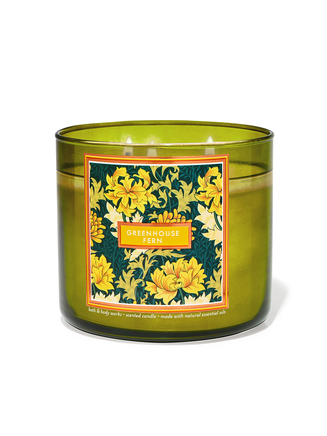 Bath & Body Works Greenhouse Fern 3 Wick Greenhouse Fern Solid Jar Candles