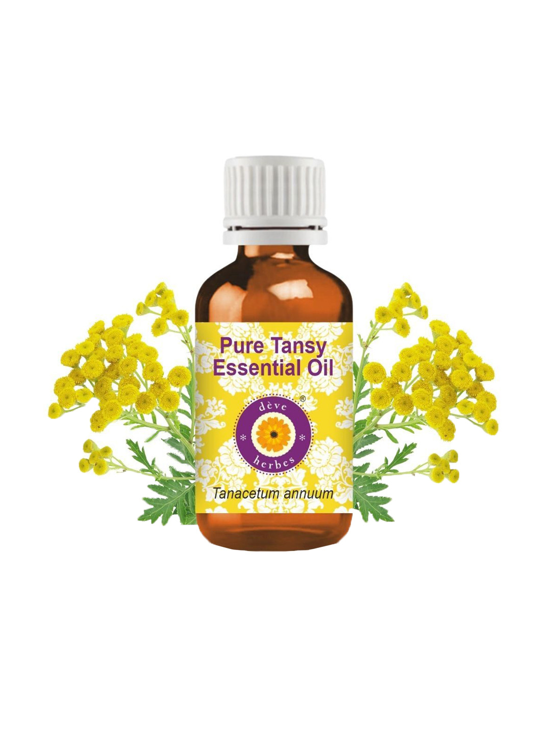 Deve Herbes Pure Tansy Essential Oil Steam Distilled - 30 ml