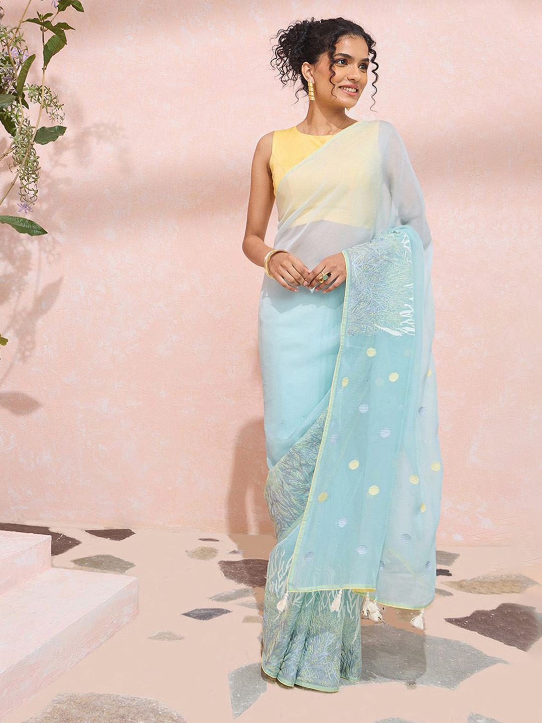 Taneira Embroidered Organza Saree
