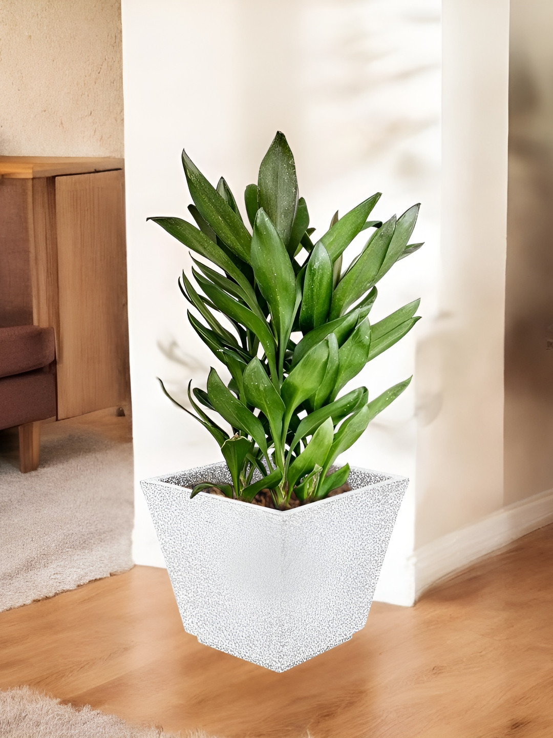 Go Hooked Decorative Planter & Indoor Outdoor  Flower Pot Chorsa 15