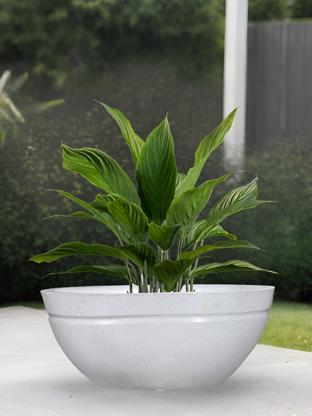 Go Hooked Decorative Planter & Indoor Outdoor  Flower Pot Lotus Bowl 25