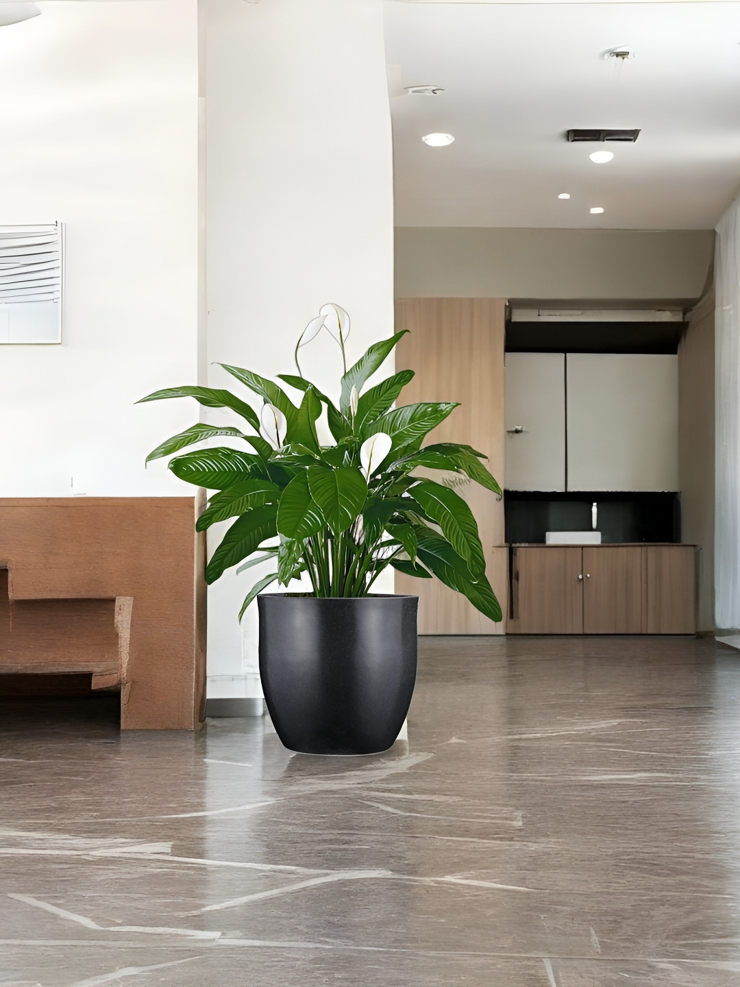 Go Hooked Decorative Planter & Indoor Outdoor  Flower Pot Pluto 17