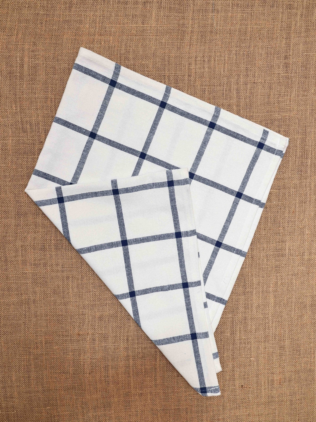 Ariana White & Blue 2 Pieces Cotton Highly Absorbent Soft Kitchen Towels