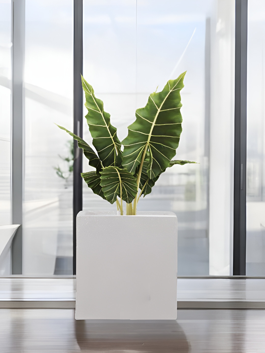 Go Hooked Decorative Planter & Indoor Outdoor  Flower Pot Cube 10