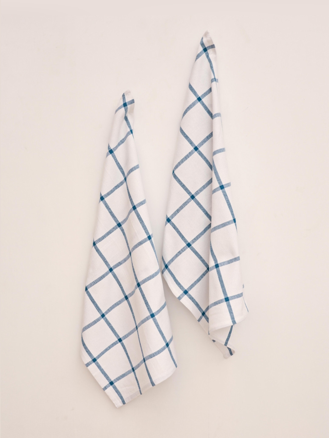 Ariana White & Blue 2 Pieces Checked Cotton Highly Absorbent Soft Kitchen Towels
