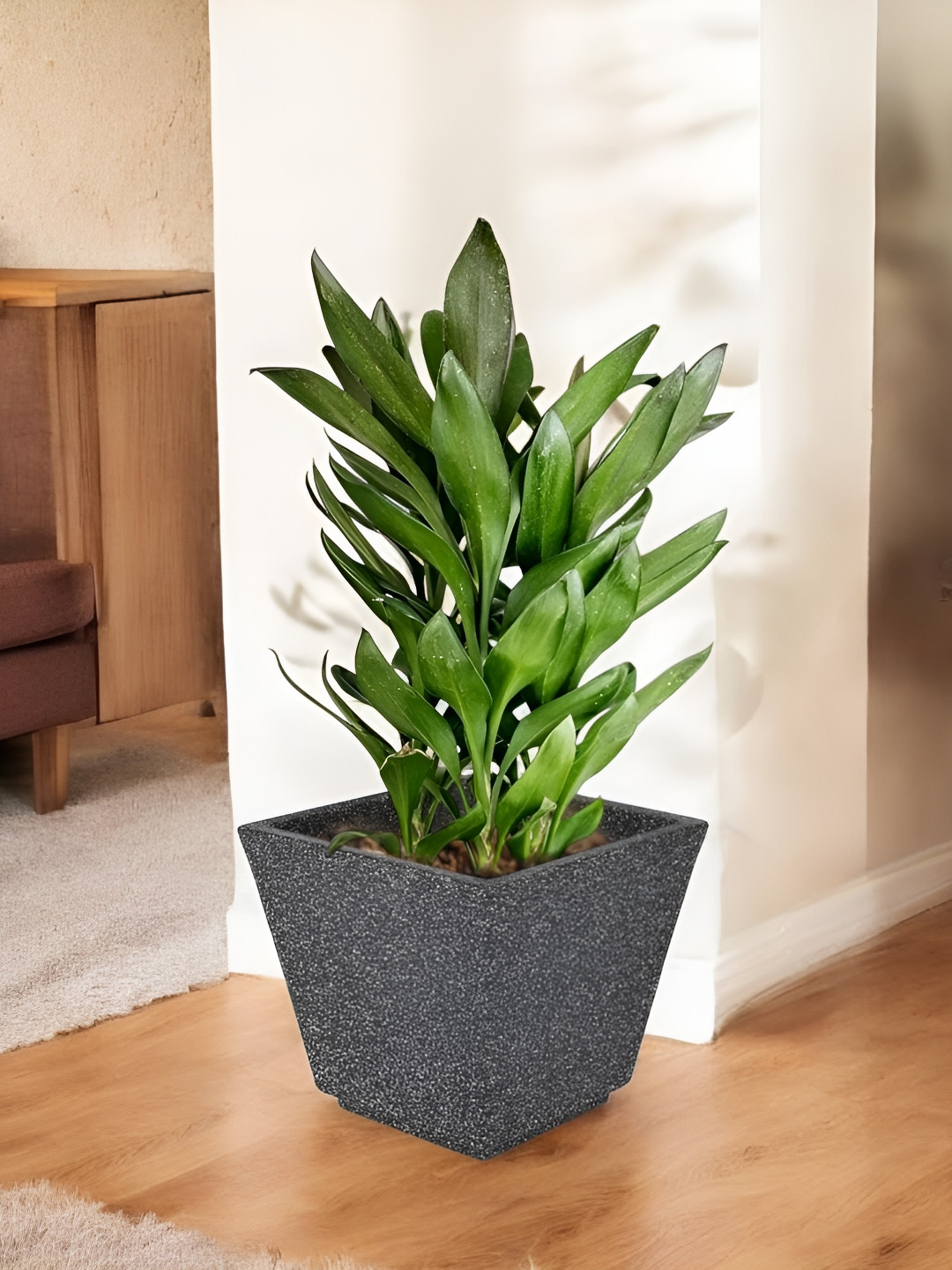 Go Hooked Decorative Planter & Indoor Outdoor  Flower Pot Chorsa 15