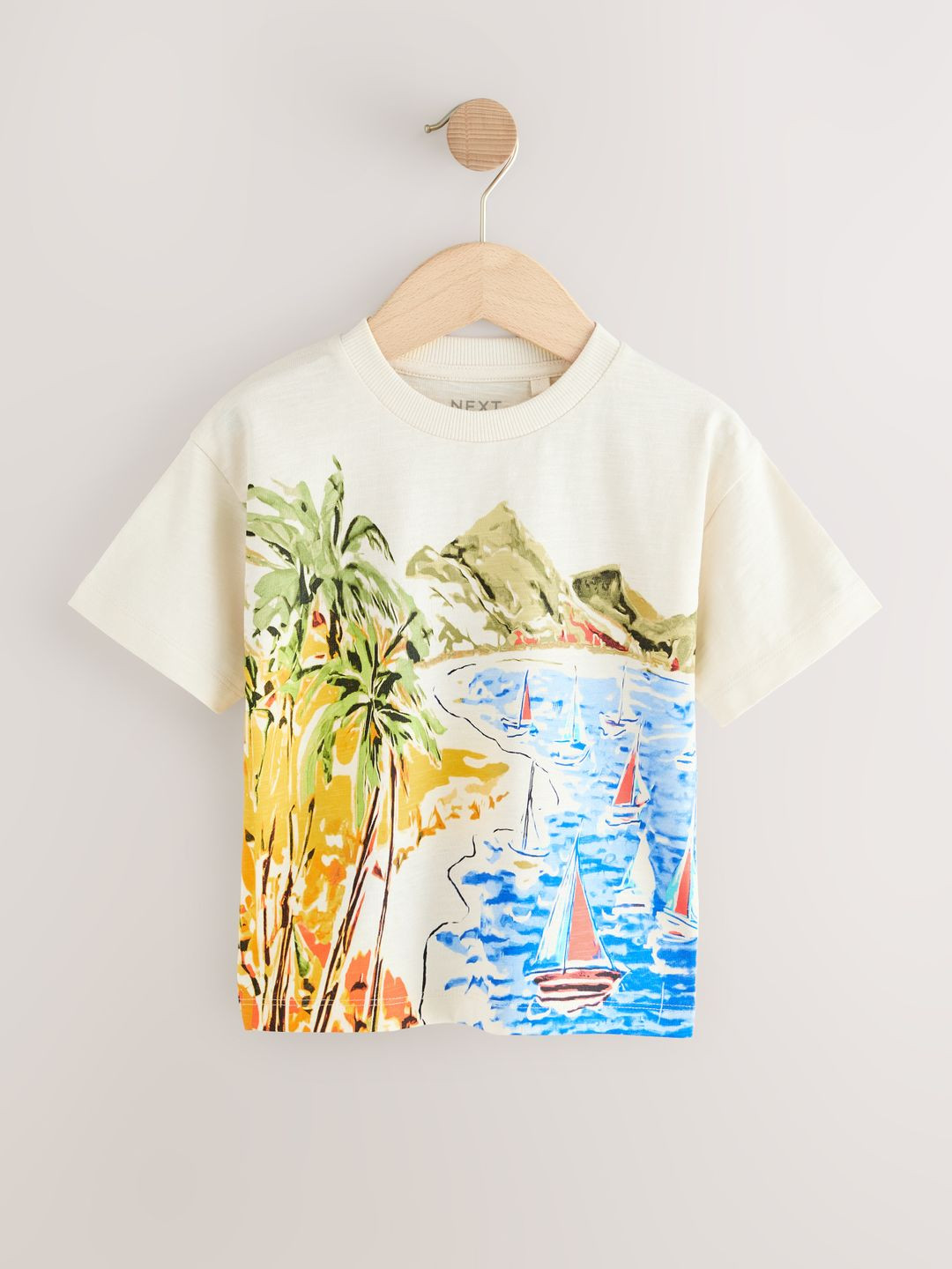 NEXT Kids Boys Printed Drop-Shoulder Sleeves Pure Cotton T-Shirt