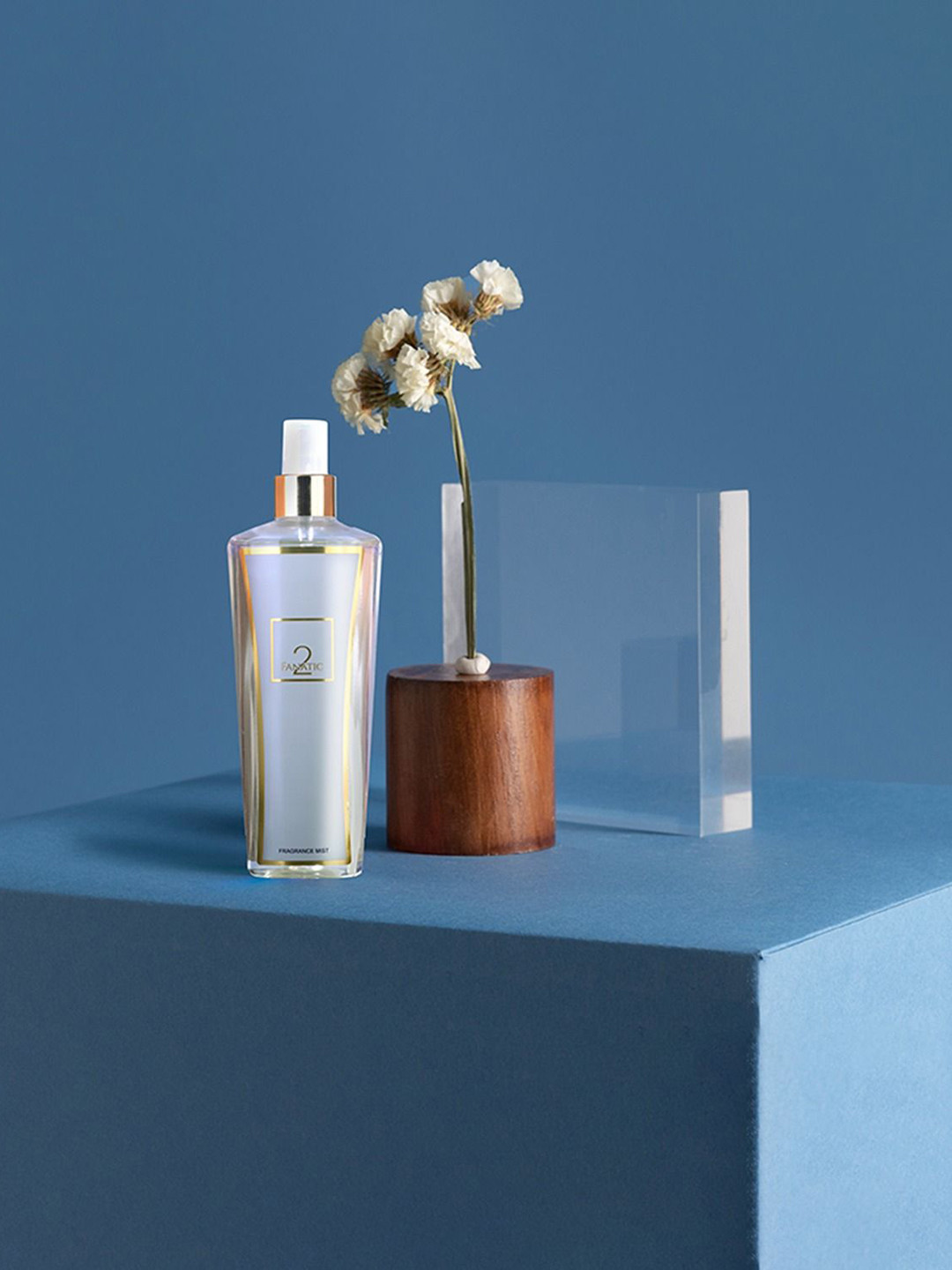 FANATIC 2 Intense Long Lasting Fragrance Body Mist - 250 ml