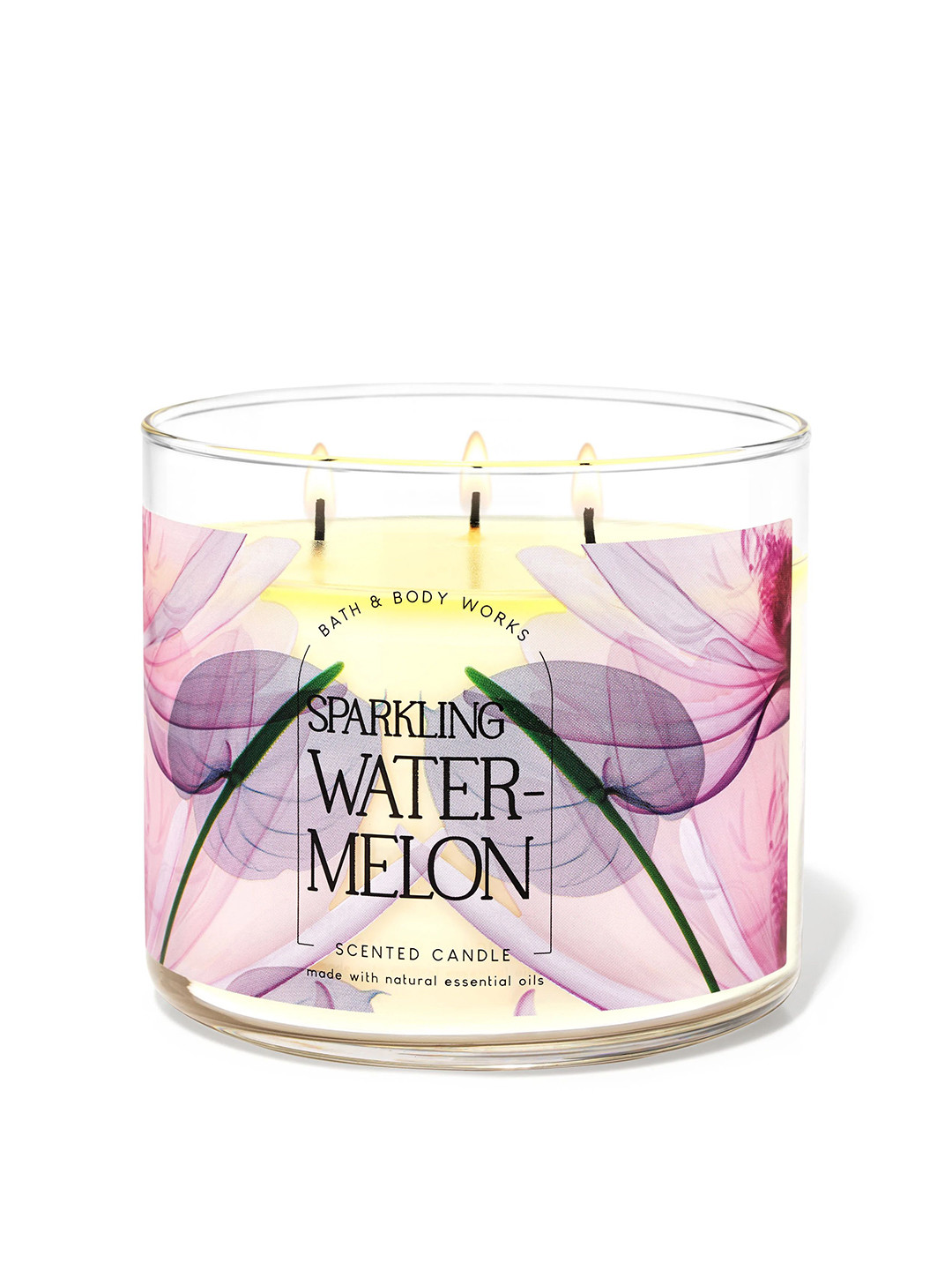 Bath & Body Works Sparkling Watermelon Scented 3 Wick Leaf Geometric Regular Jar Candles