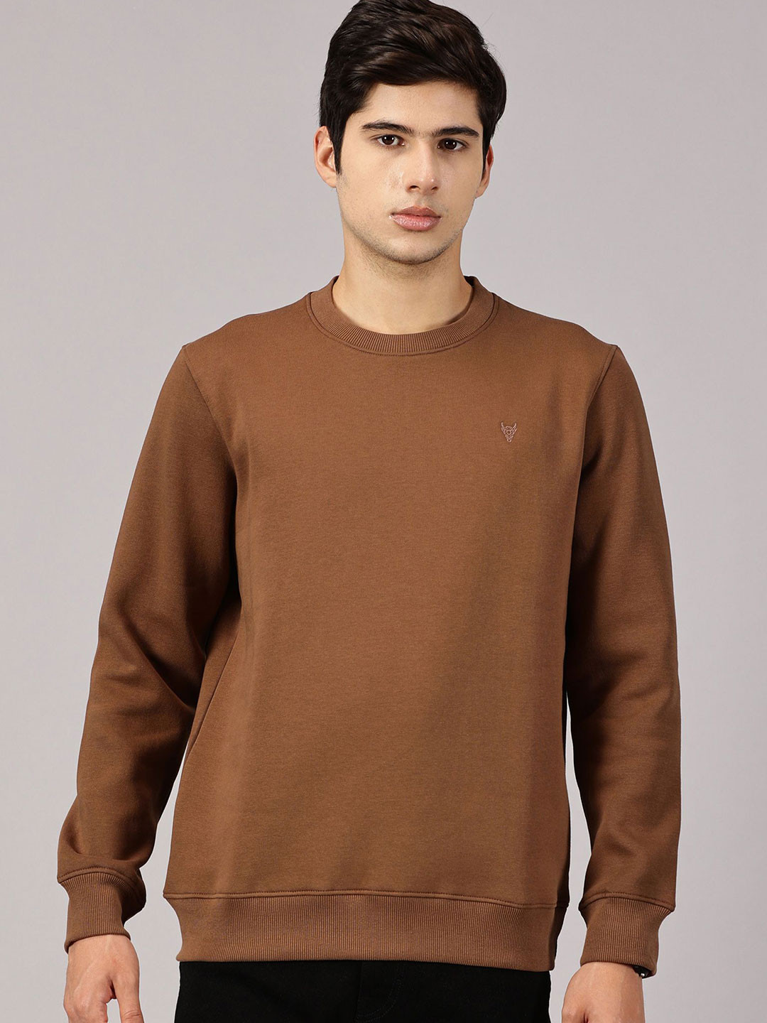 BLACK BUCK Men Round Neck Pullover Sweatshirt