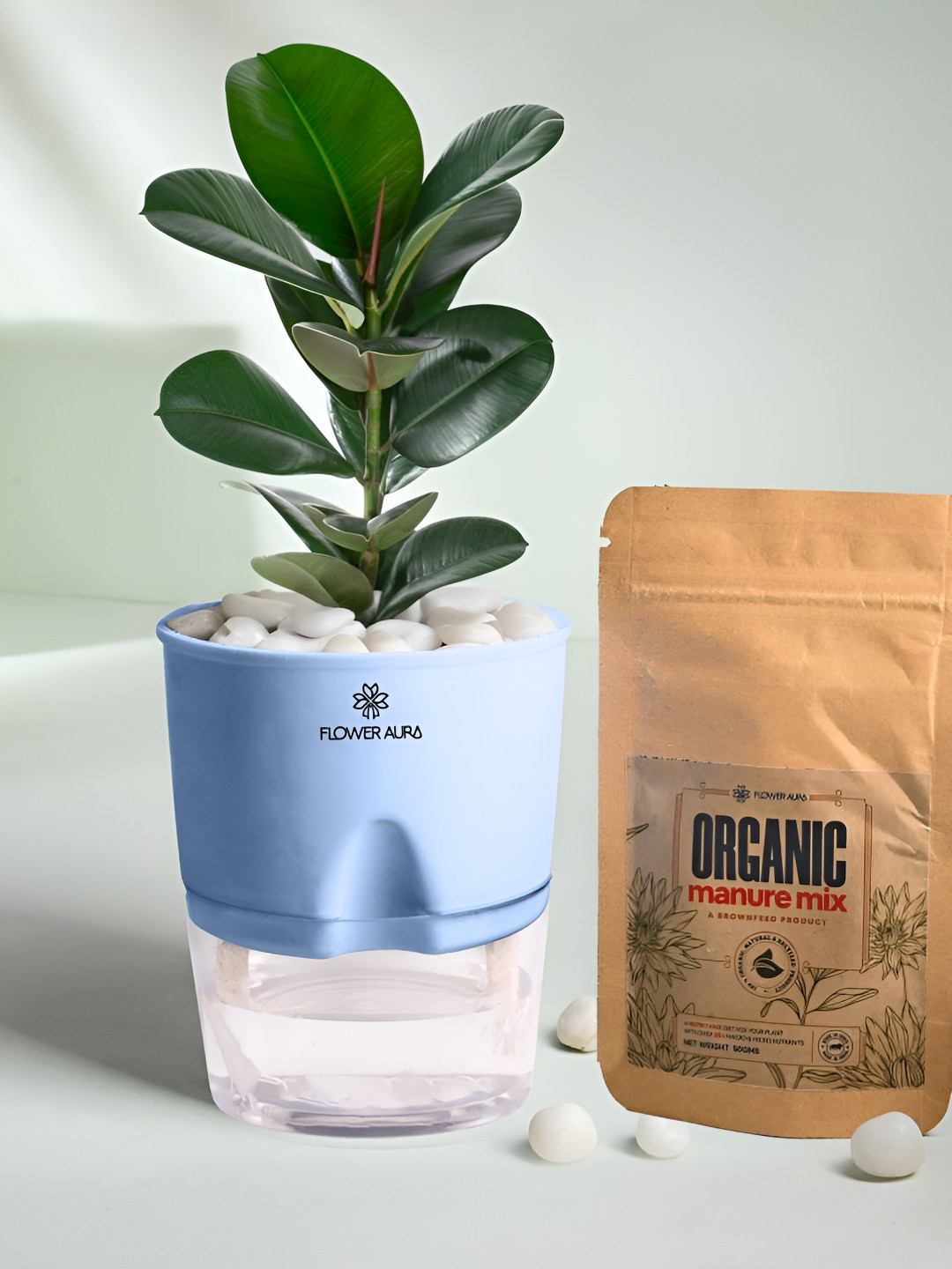 Floweraura Green & Blue Indoor Rubber Plant Self Watering Pot With Manure