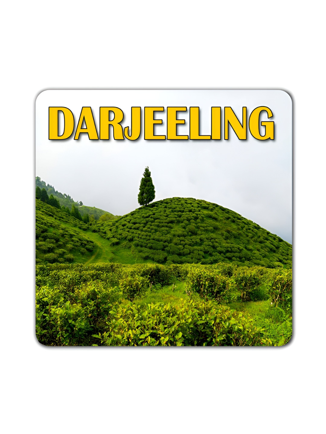 ARTBUG Green & White Printed Darjeeling City Wooden FridgeMagnet