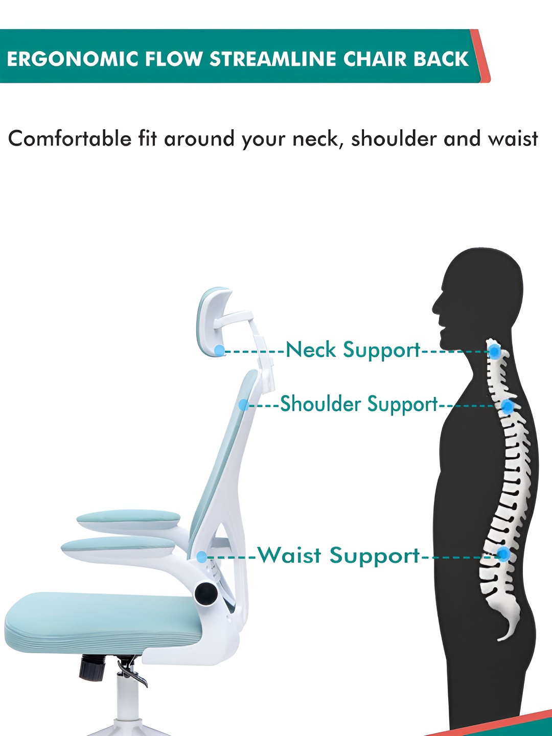 Alex Daisy Blue & White Study & Durable Study Chair