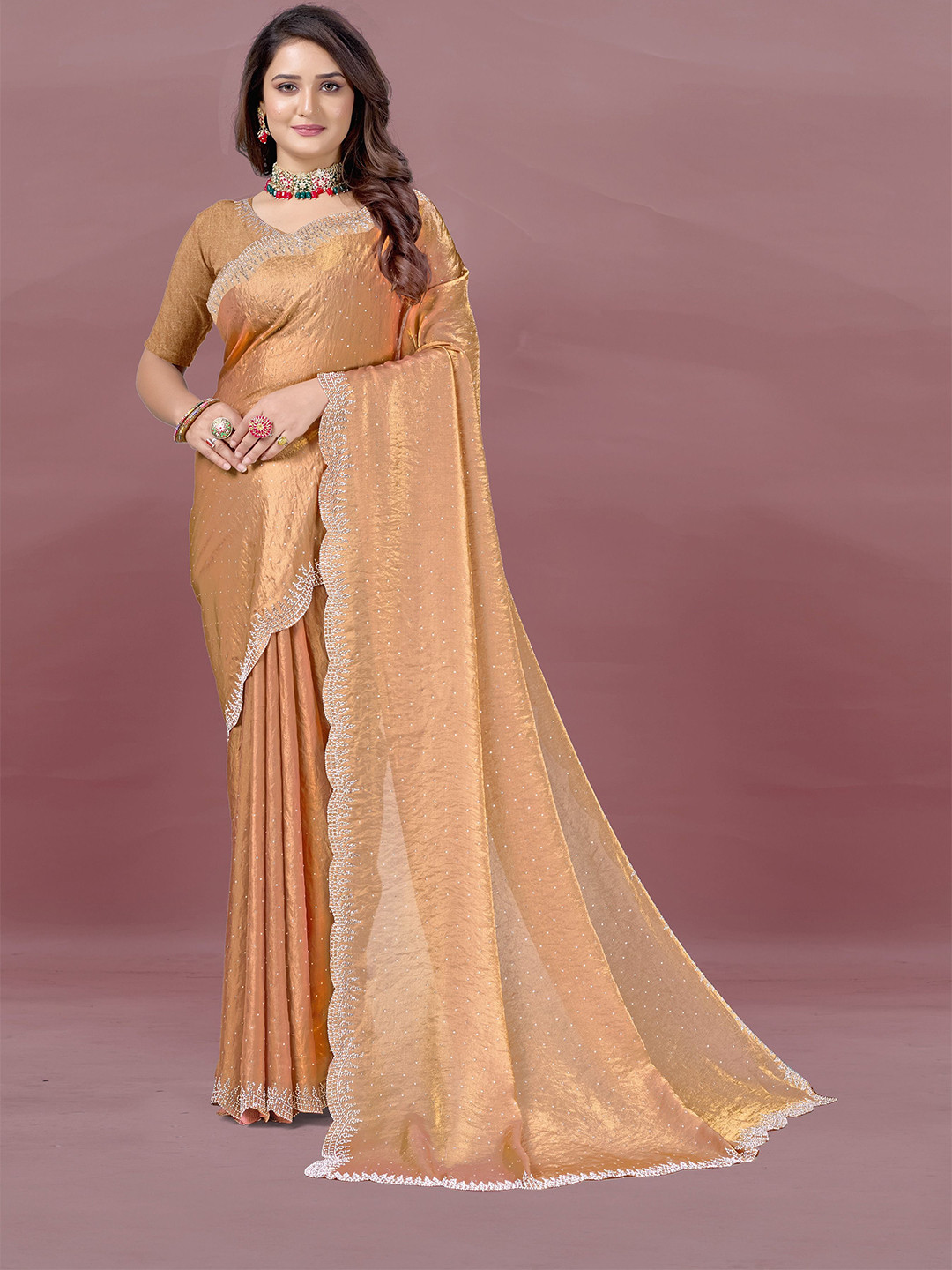 Branzios Embellished Beads and Stones  Saree