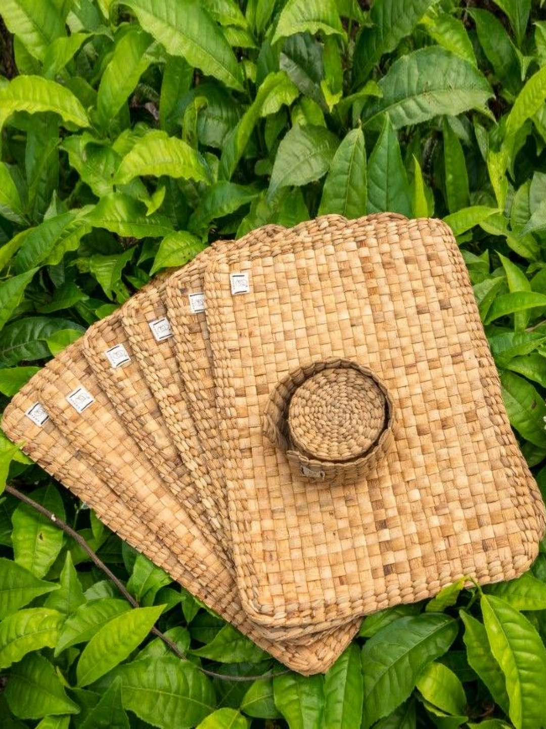 ASAMA 6Pcs Beige Wicker Dining Mats