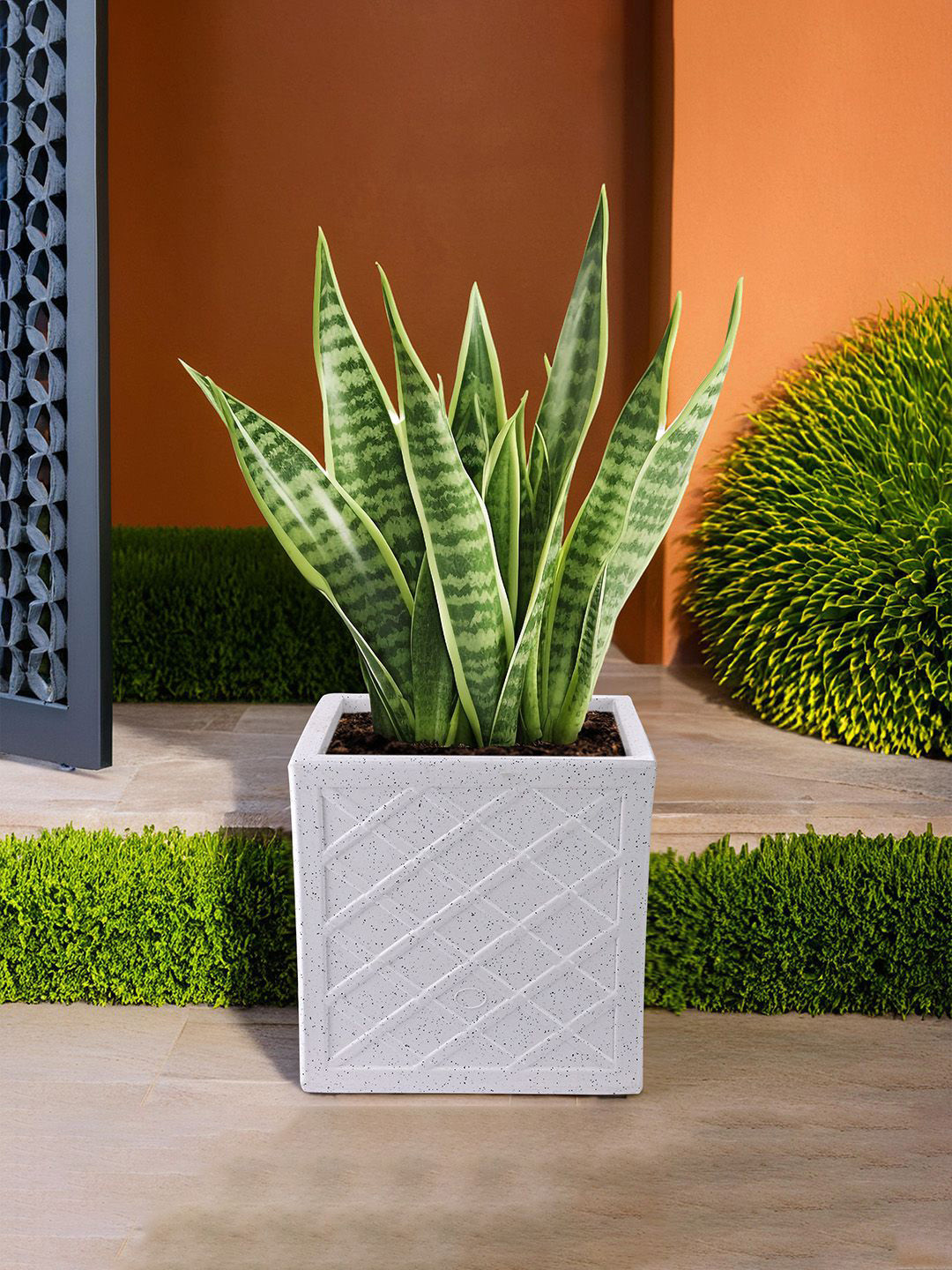Kuber Industries White Fresh Textured Planters