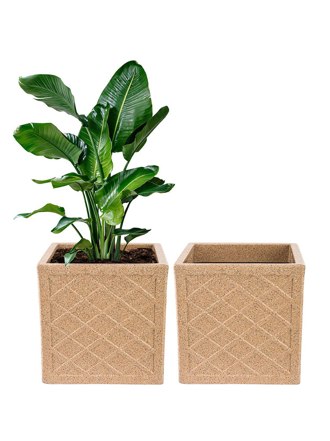 Kuber Industries 2-Pcs Brown Sand Stone TexturedPlanters