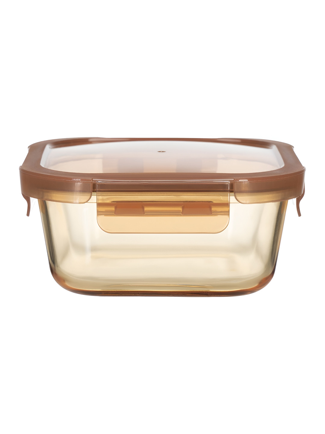Peggy Oliver Transparent Glass Dishwasher And Microwave Safe Lunch Box