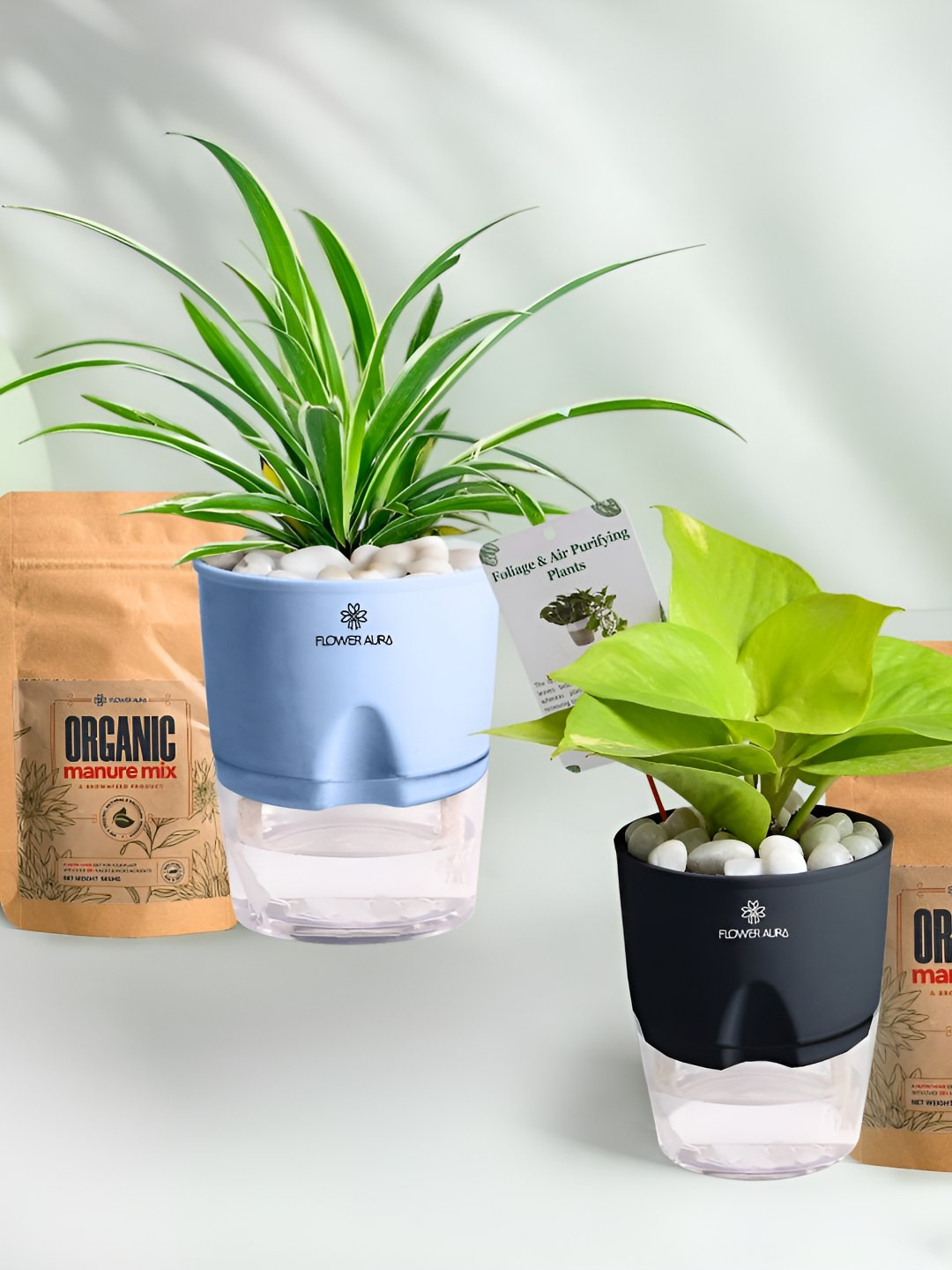 Floweraura 2Pc Indoor Spider & Money Plants Self Watering Pots With 2 Manure Packets