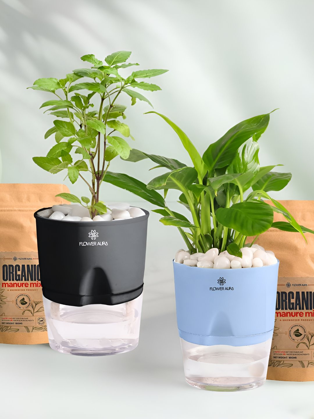 Floweraura 2 Pc Indoor Tulsi & Peace Lily Plants Self Watering Pots With 2 Manure