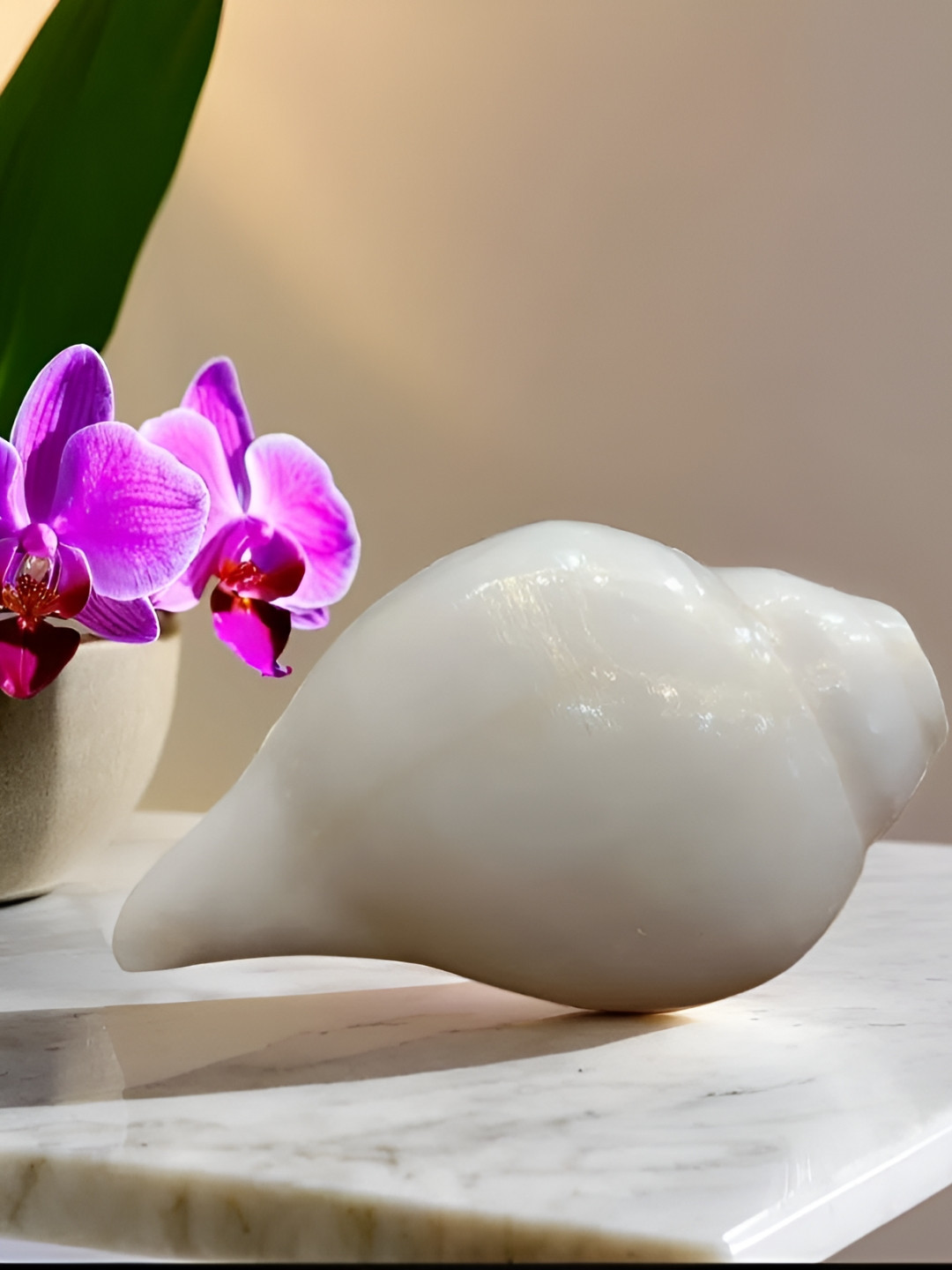 SANKALAN CREATIONS Seashell White Crystal Glossy Living Room Medium Showpiece -