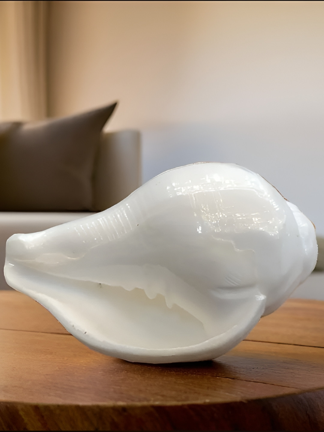 SANKALAN CREATIONS Seashell White Crystal Natural Prayer Room Medium Showpiece -