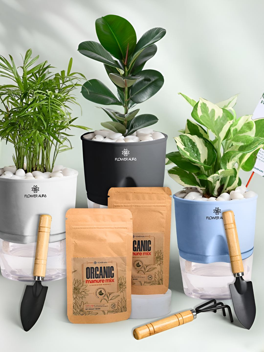 Floweraura 3 Pc Indoor Pothos Bamboo Palm & Rubber Plants Self Watering Pots With Tool Kit