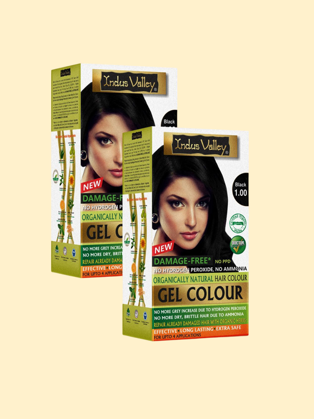 Indus Valley Set Of 2 Organically Natural Gel Hair Color- 220 g Each- Black 1.00