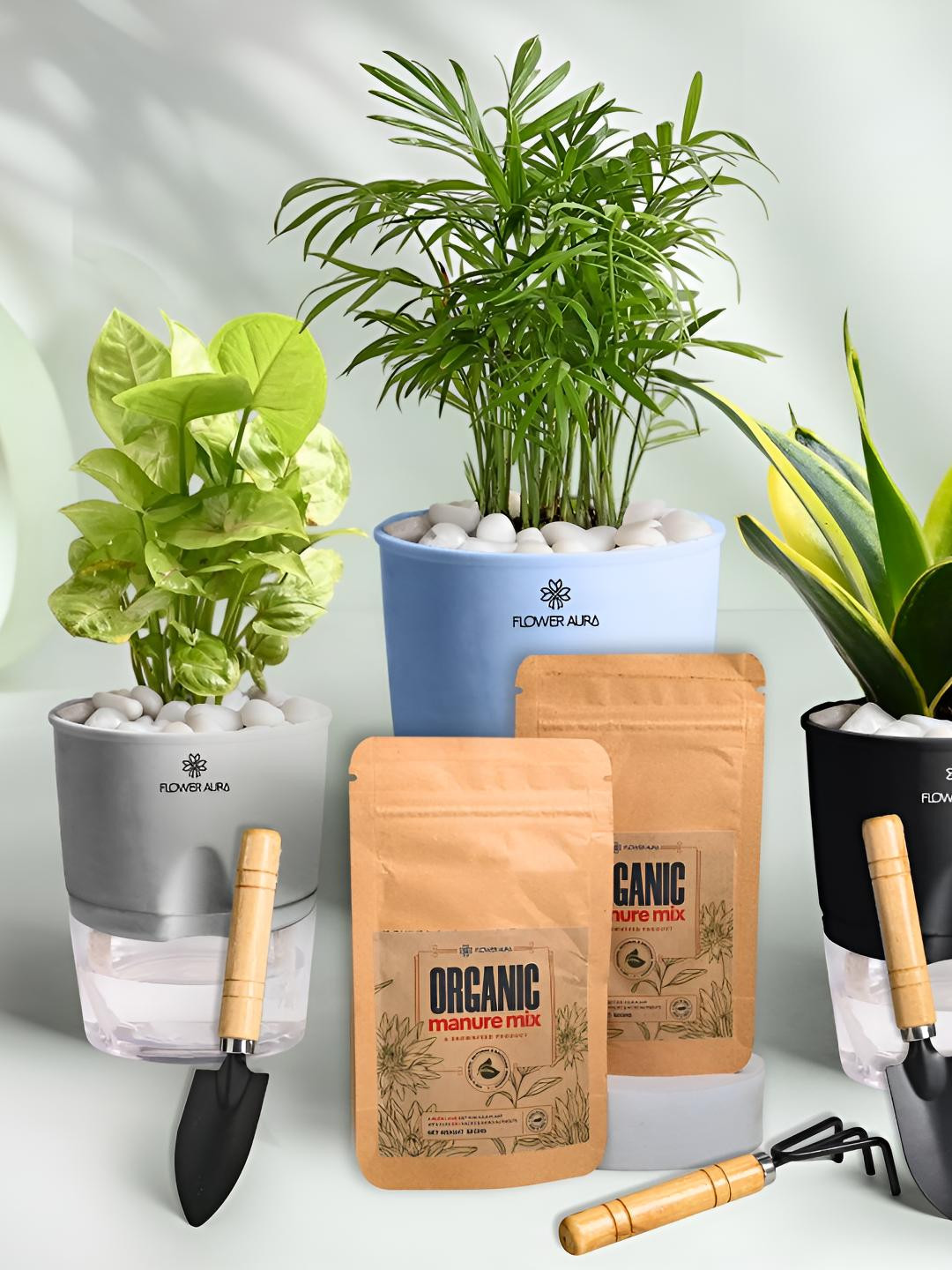 Floweraura 3Pc Indoor Syngonium Bamboo Palm & Sansevieria Plants Self Watering Pots