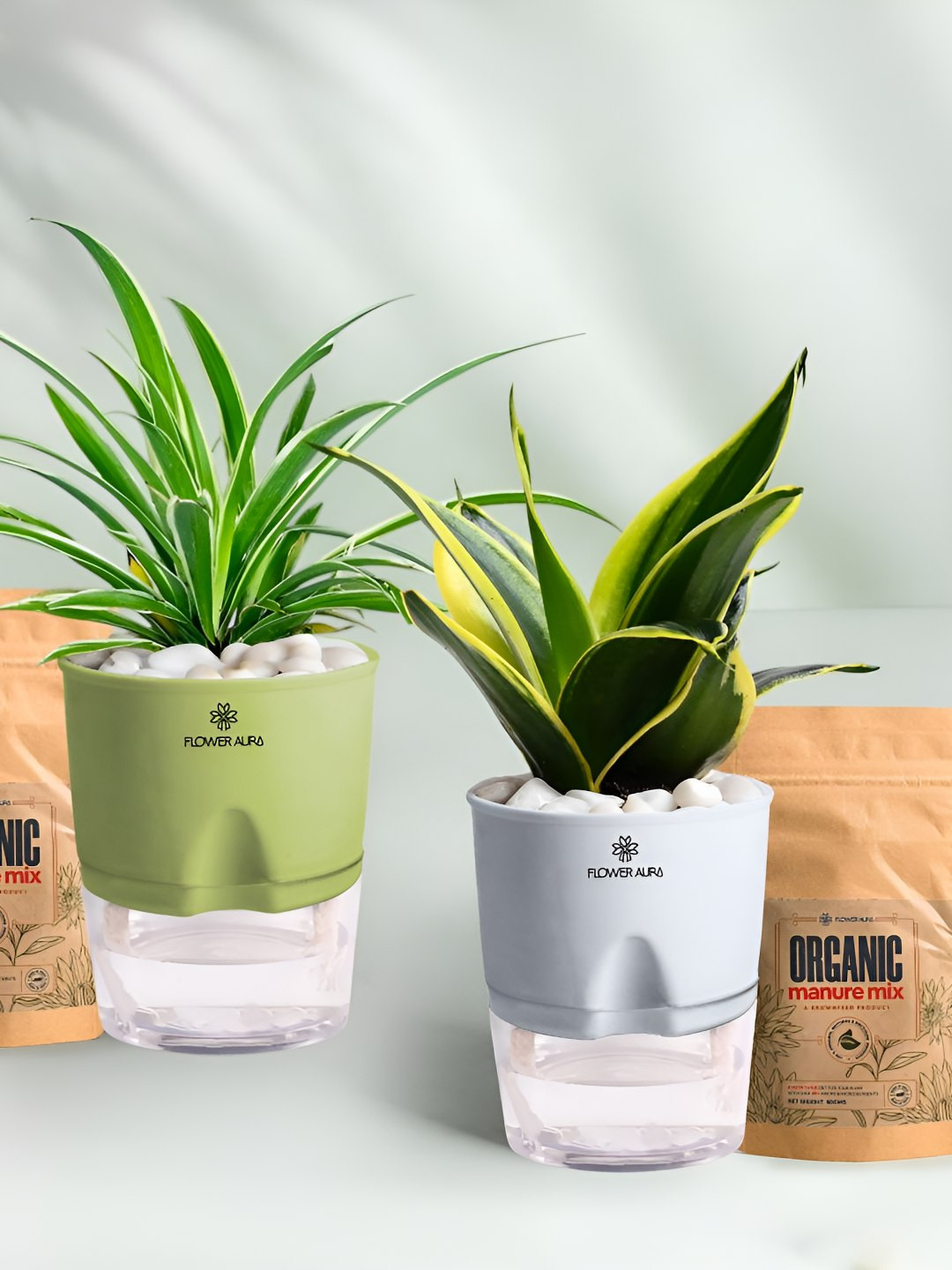 Floweraura 2Pc Indoor Spider & Sansevieria Plants Self Watering Pots With 2 Manure