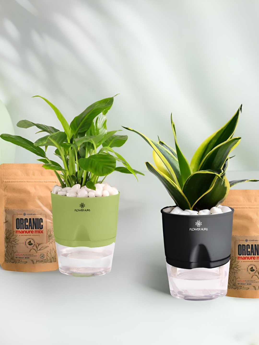 Floweraura 2Pc Indoor Peace Lily & Sansevieria Plants Self Watering Pots With 2 Manure