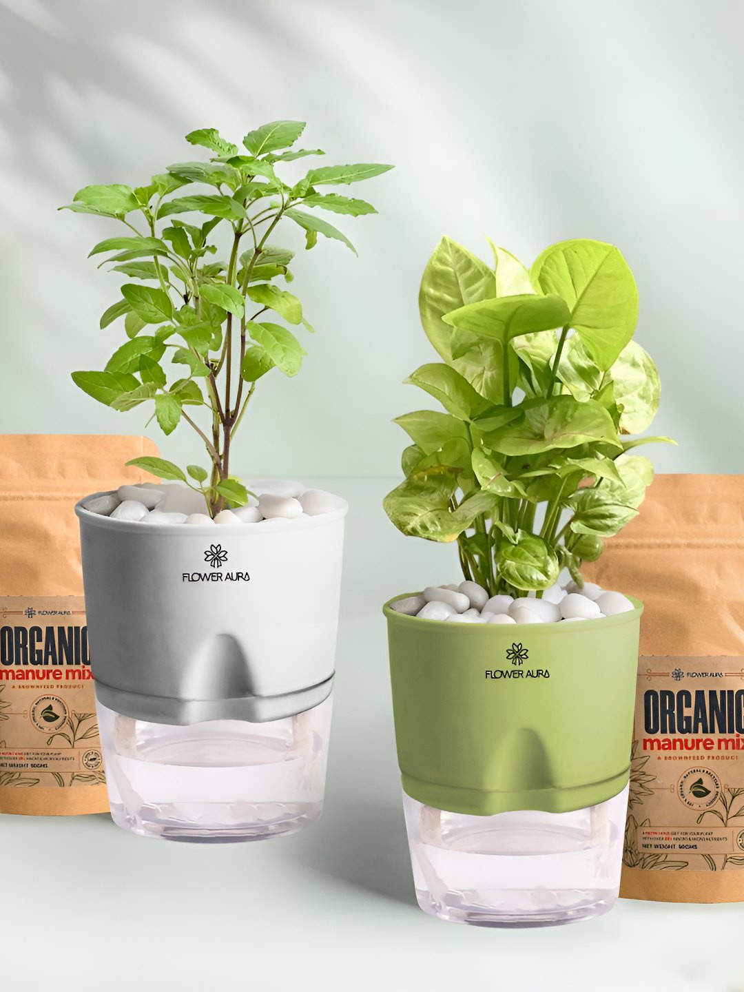 Floweraura 2Pc Indoor Tulsi & Syngonium Plants Self Watering Pots With 2 Manure