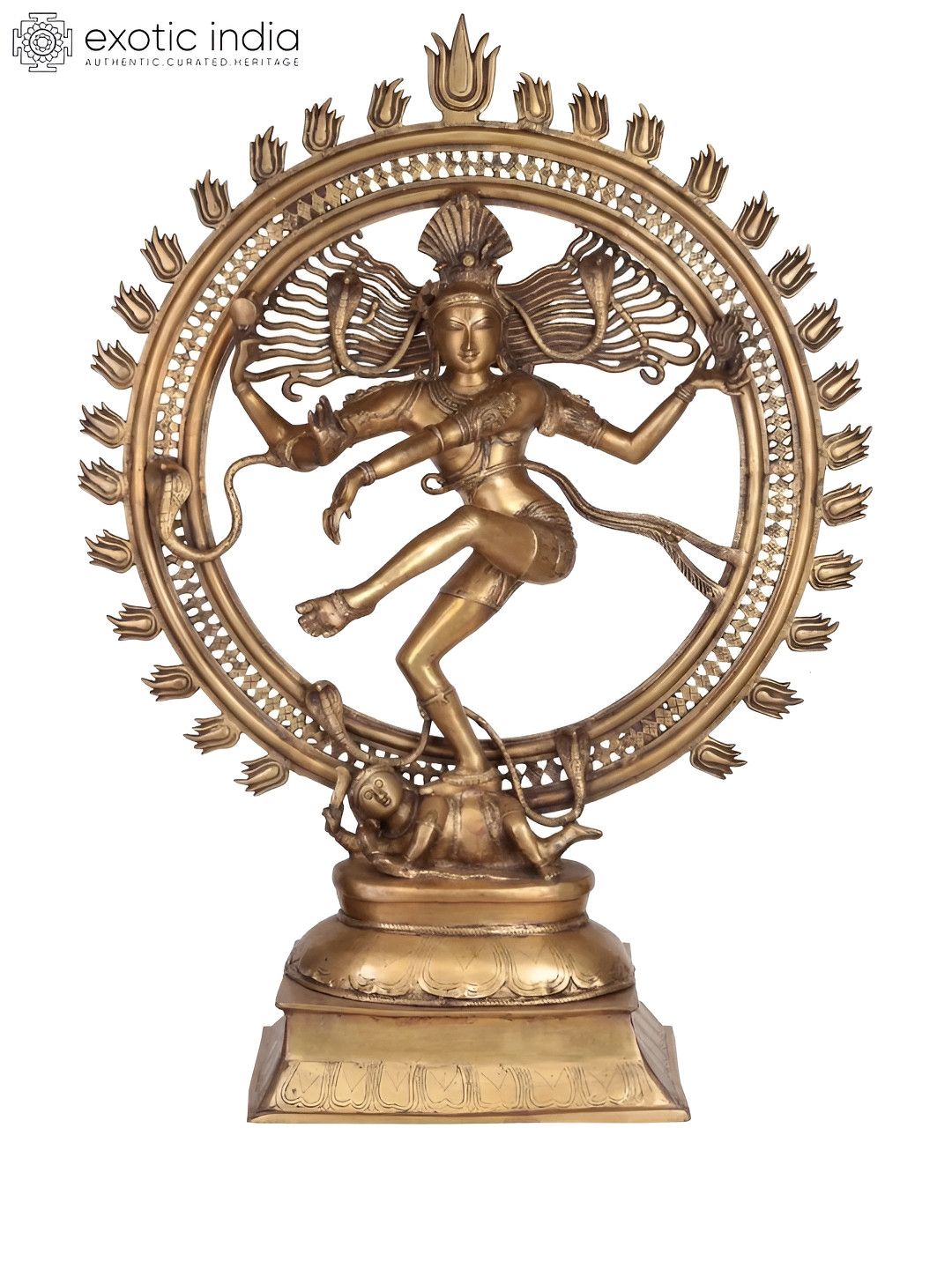 Exotic India Nataraja Gold Brass Metallic Living Room Hand-Crafted Extra Large Showpiece - 42 Inches