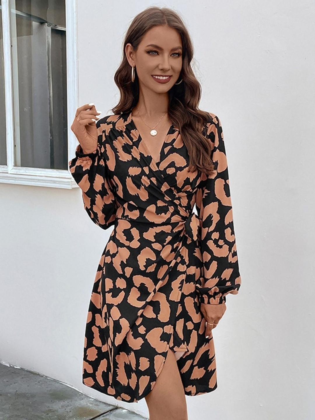 KPOP Woman Animal Print Sheath Dress