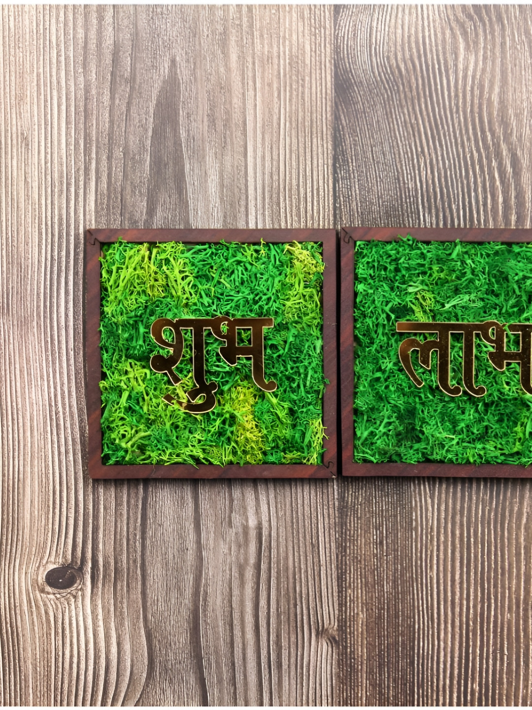 Bioq Brown & Green 2 Pieces Botanical Printed Wall Art