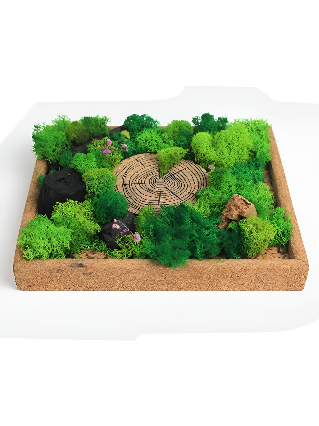 Bioq Brown & Green 1 Piece Forest Wall Art