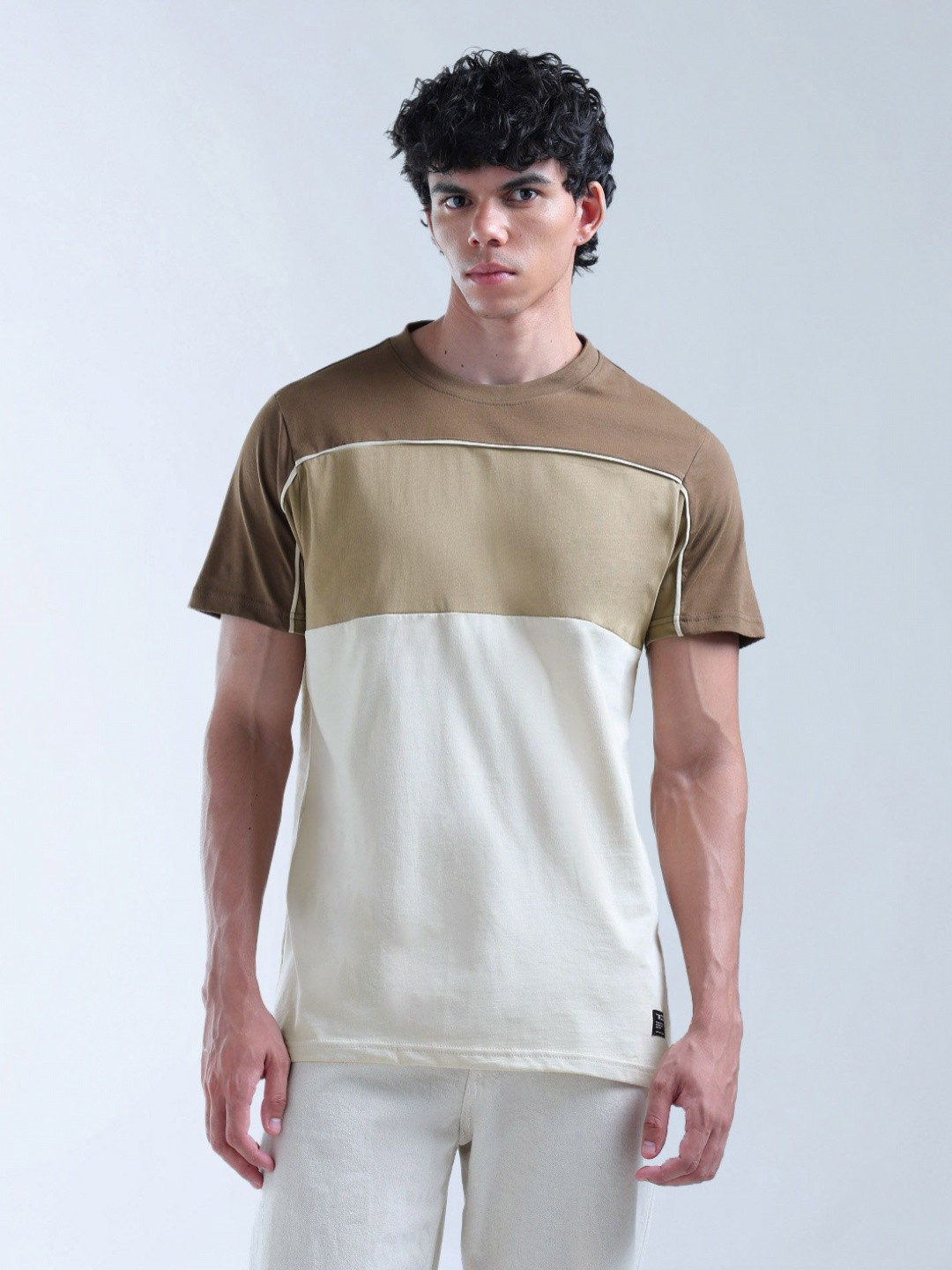 Flying Machine Men Colourblocked Round Neck Cotton T-shirt