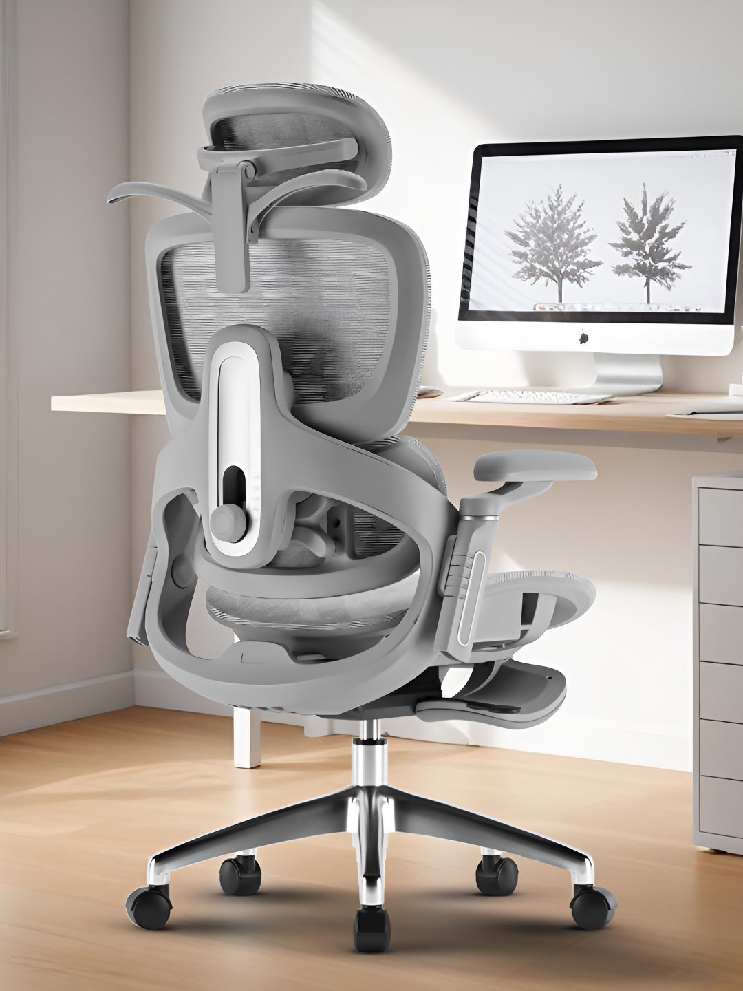 DROGO GreyAdjustable Seat & Lumbar Support Office Chair