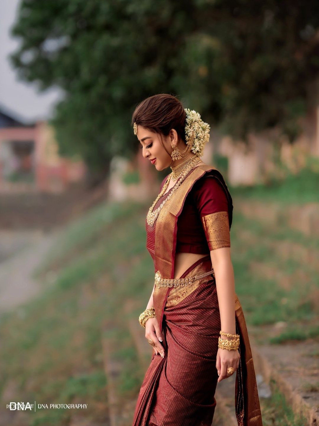 AQUILIQ Women Woven Design Zari Banarasi Saree