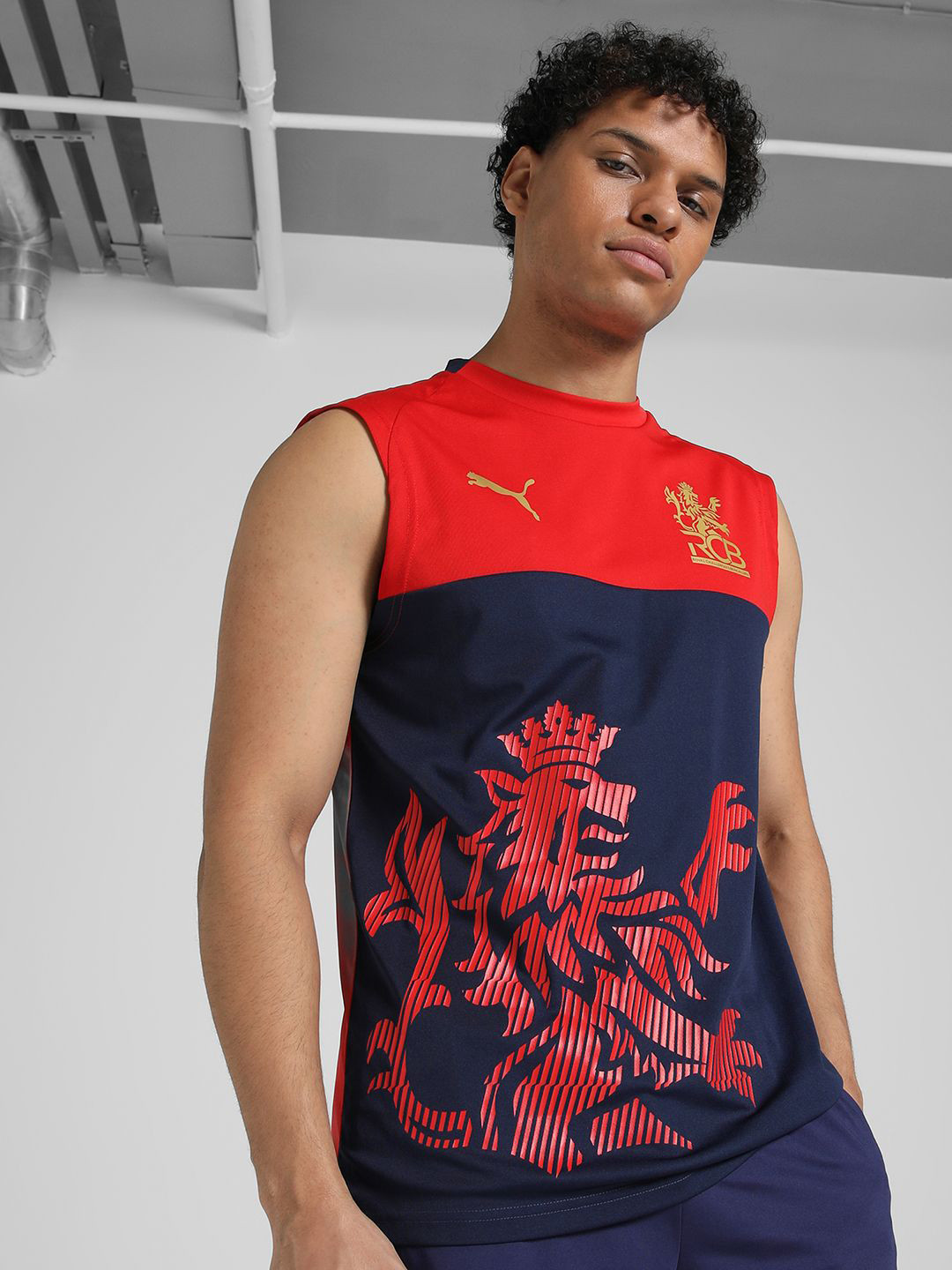 Puma x Royal Challengers Bangalore Printed T-Shirt