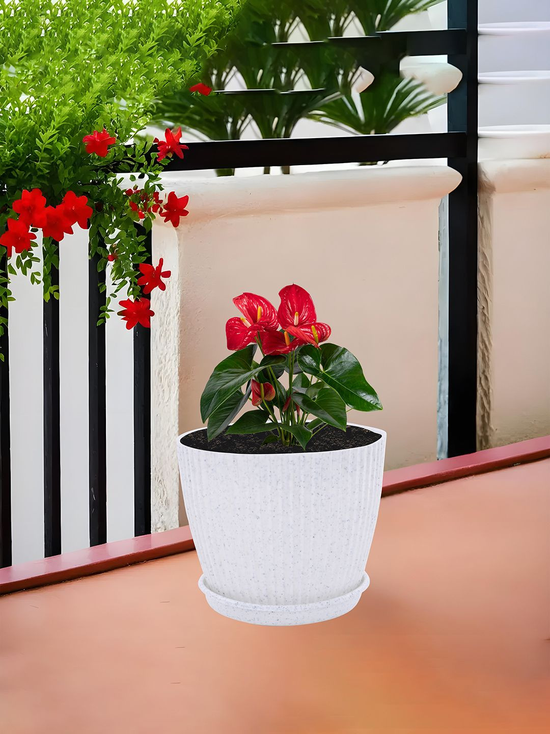 Kuber Industries White Plastic 8 Inch Pots for Plants with Tray