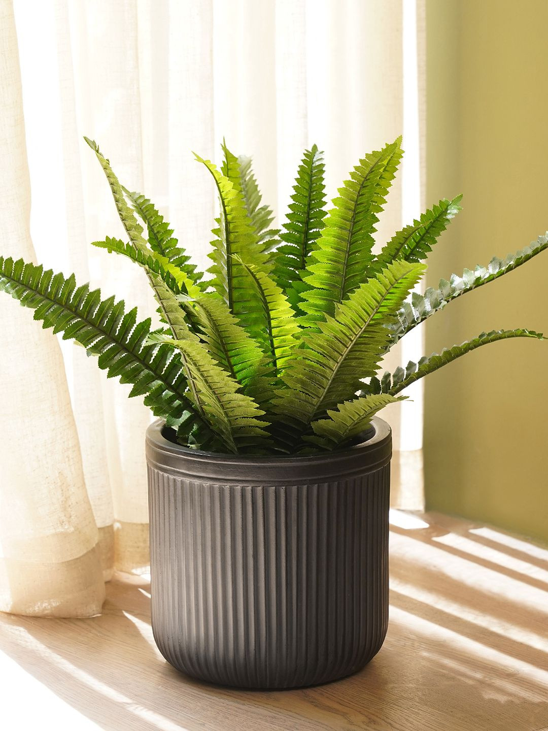 Pure Home and Living Black Ribbed Small Pot