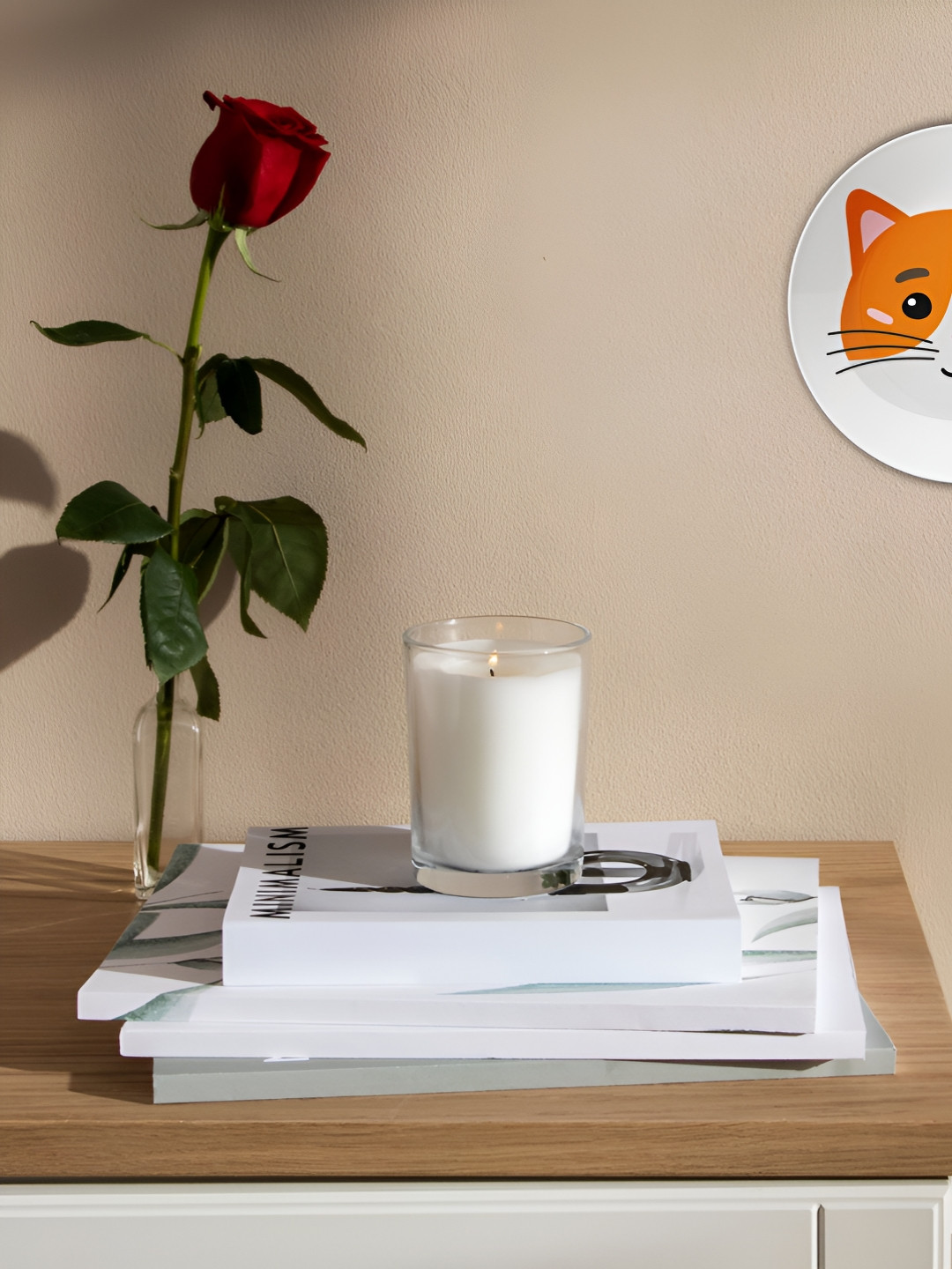 THE QUIRKY HOME A Whisker of Fun Crafted Ceramics Glossy Hanging Hall Wall Plates-9.8In