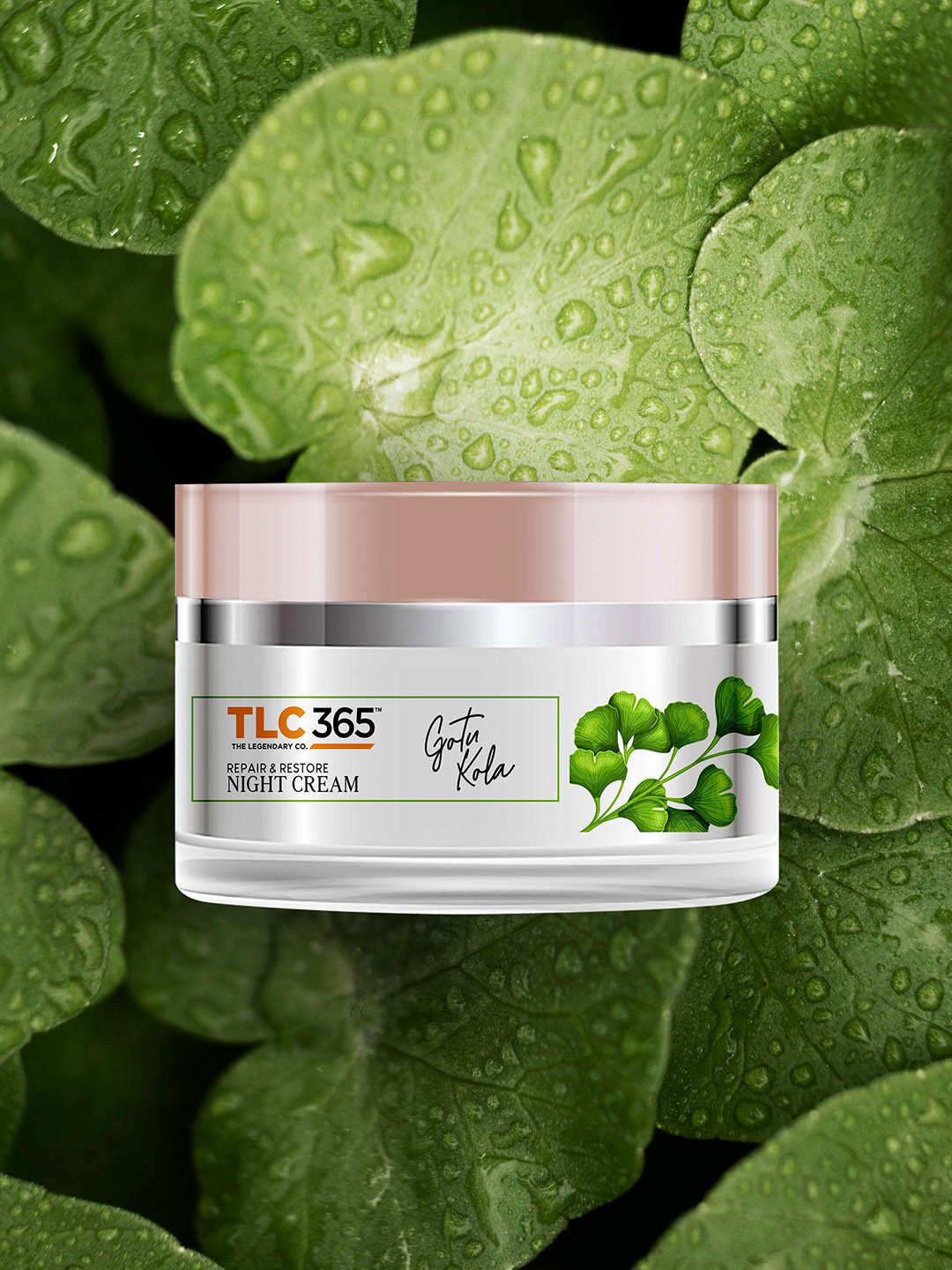 TLC 365 Gotu Kola Anti Ageing Night Cream - 50 g