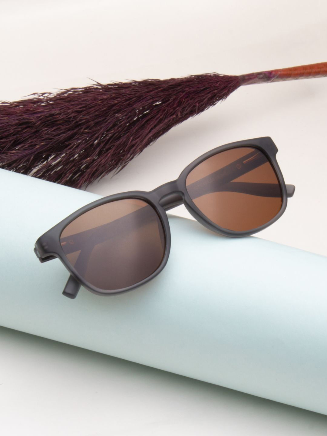 Ted Smith Unisex Wayfarer Sunglasses with Polarised Lens SUN-BRYDEN_C401