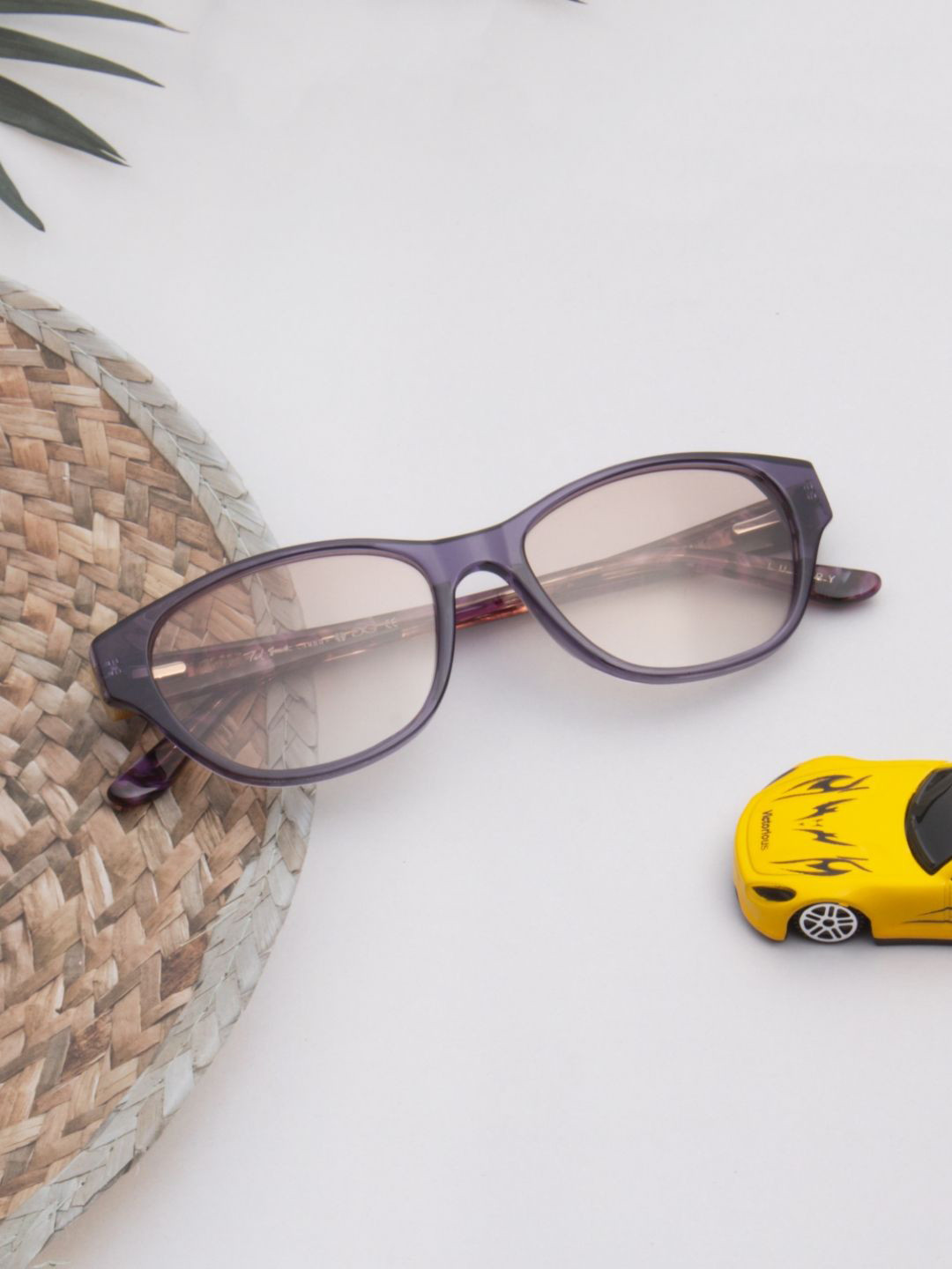 Ted Smith Women Purple-Light Brown Cat Eye Premium Acetate Sunglasses With Polarised Lens