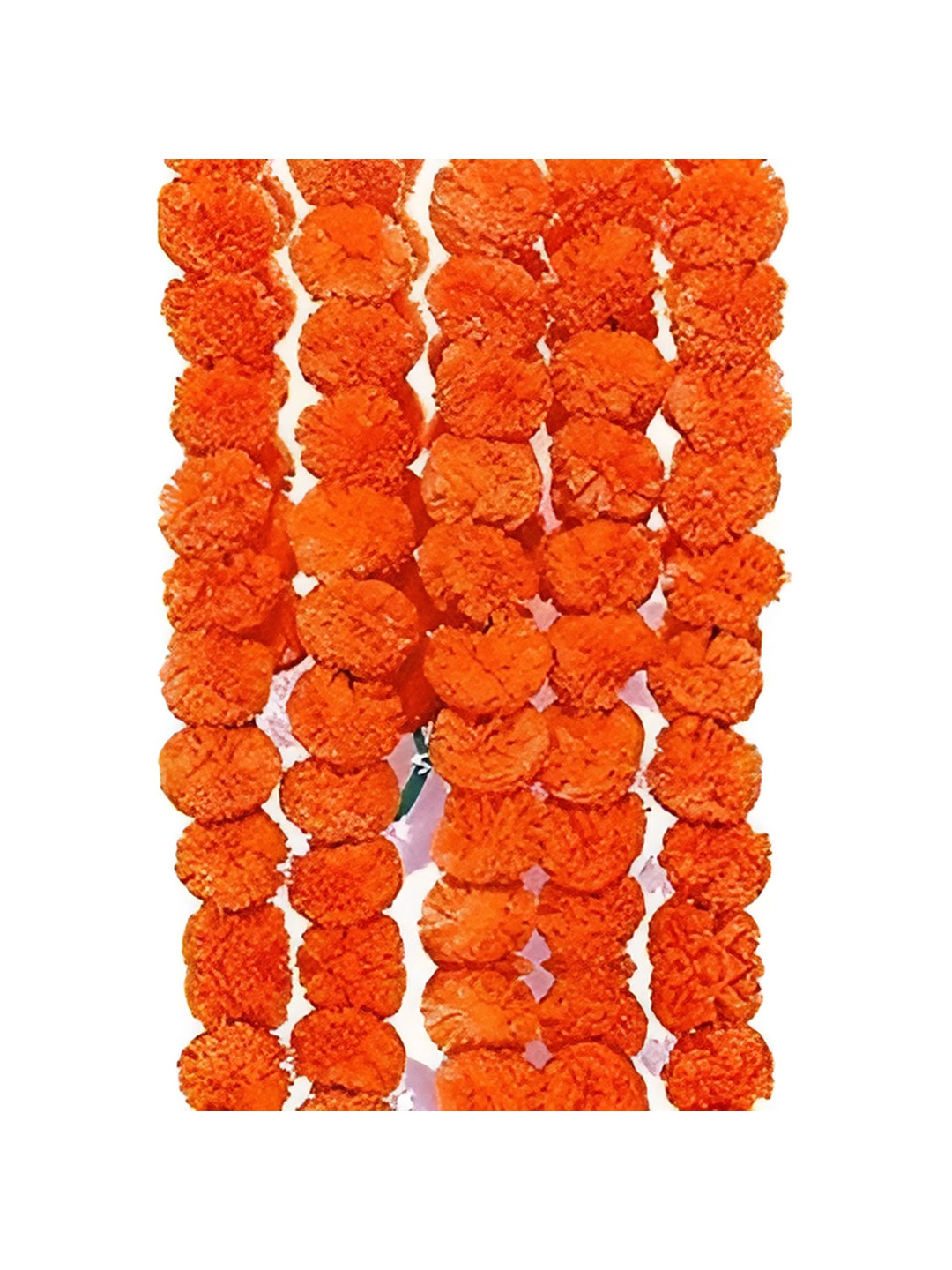 Nutts 10-Pcs Orange Marigold Flower String