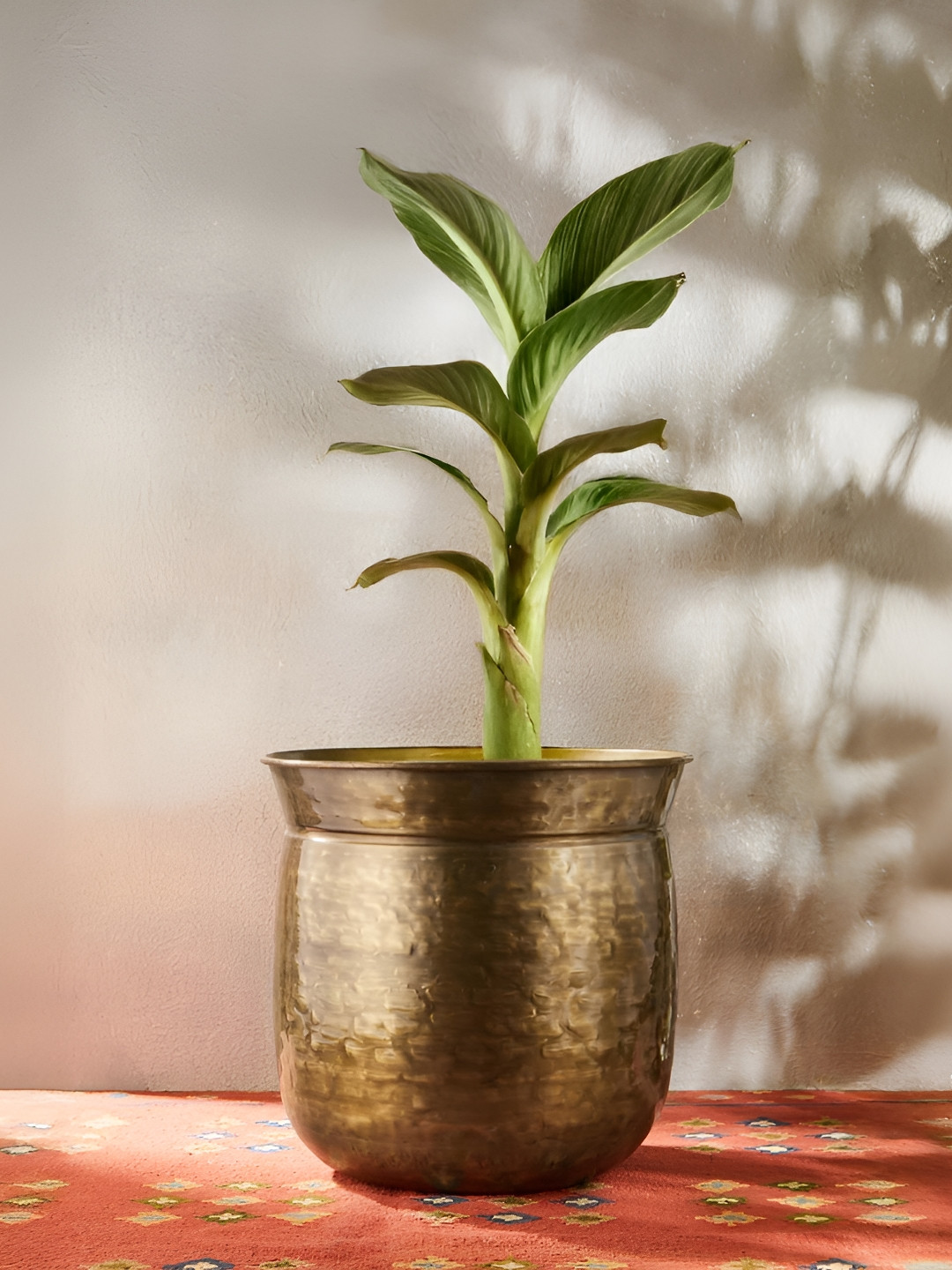 Fabindia Zareen Bronze-Toned Hammered Metal Table Planter