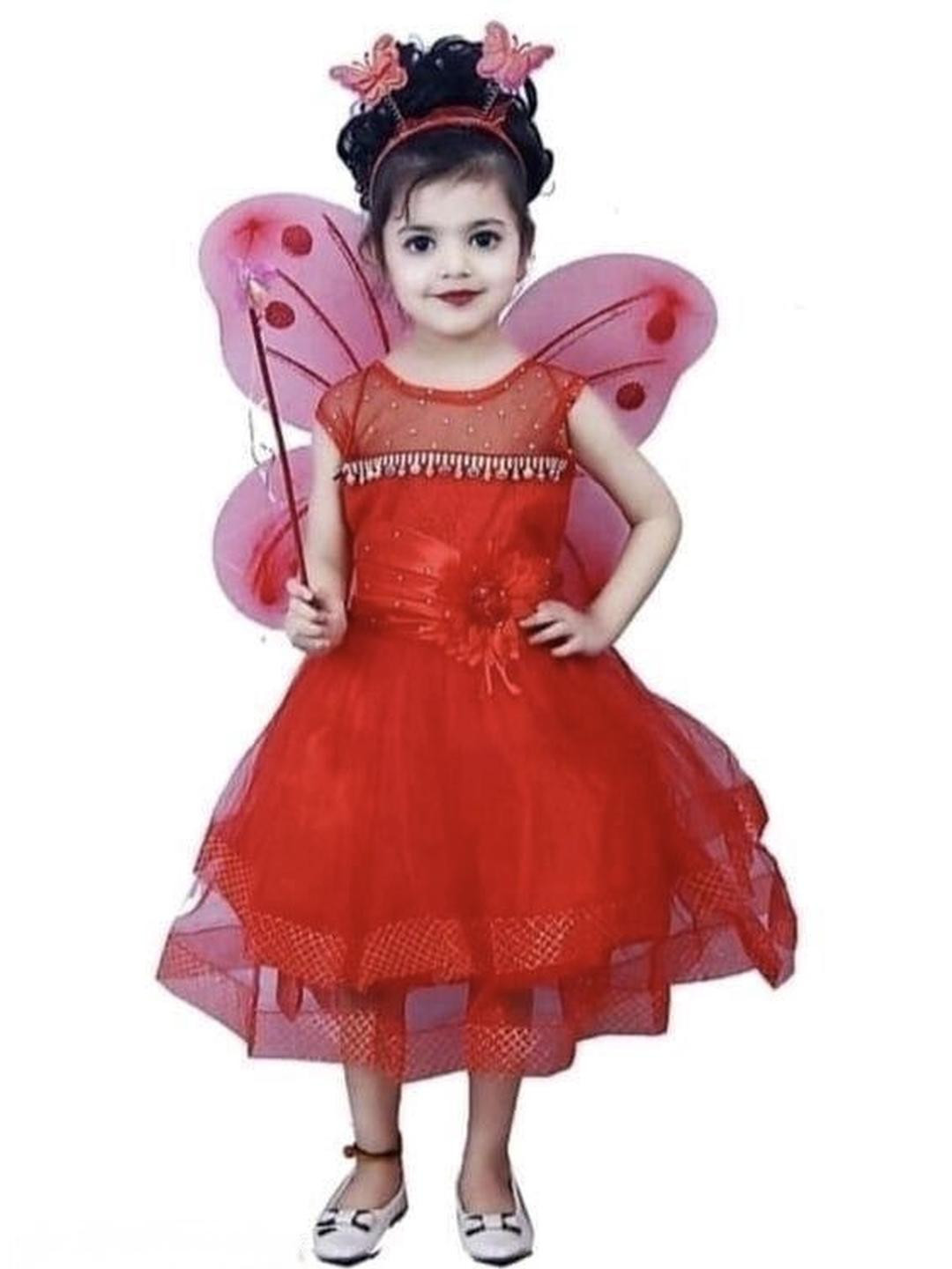 R K S FASHION Girls Net Butterfly Wings Fit & Flare Dress