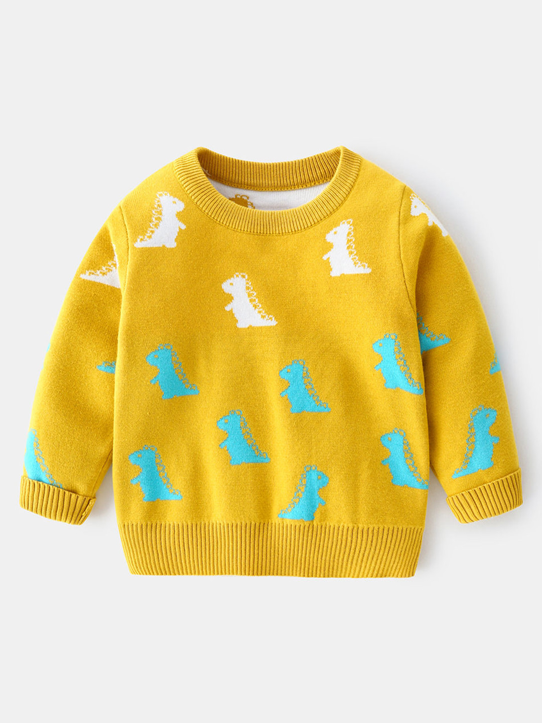 Hopscotch Boys Dinosaur Printed Pullover